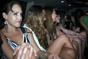 国产女s调教女m免费视频vk Porn